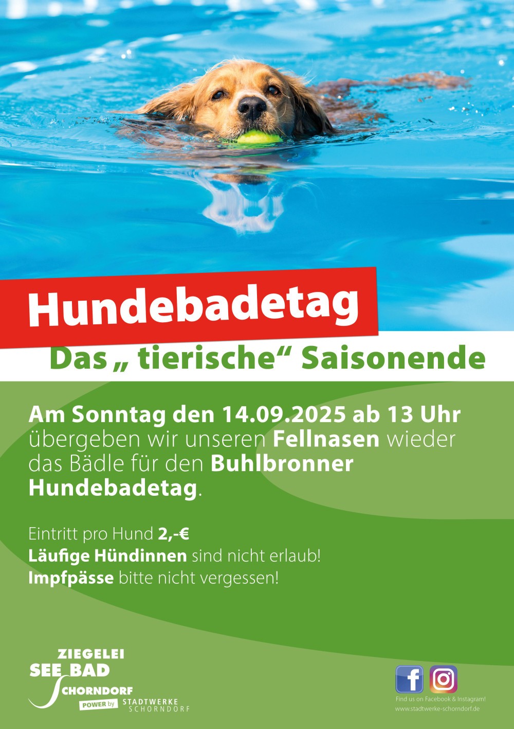 Event: Hundebadetag Buhlbronn 2025 - Bäderbetriebe Schorndorf